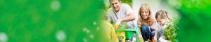 lakeside financial insurance