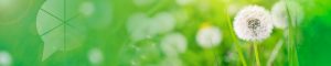 lakeside financial lending